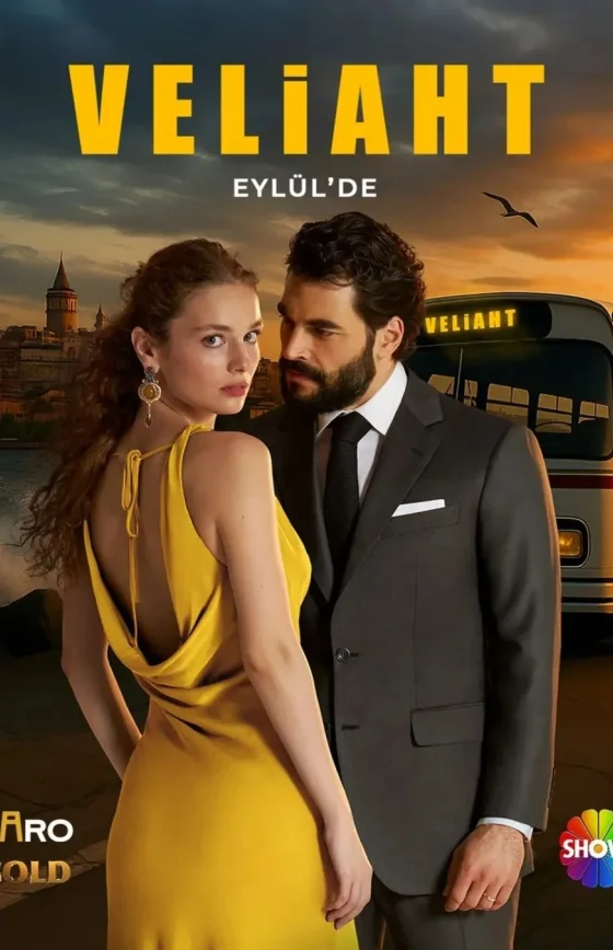 Наследный принц 1-13, 14, 15 серия турецкий сериал на русском языке смотреть онлайн бесплатно все серии